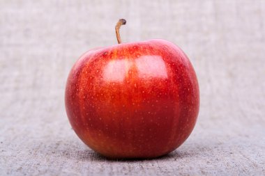 elma ehlileştirmek üzerinde