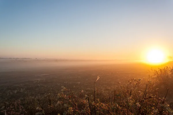 Lever de soleil sur un champ dans le brouillard — Photo