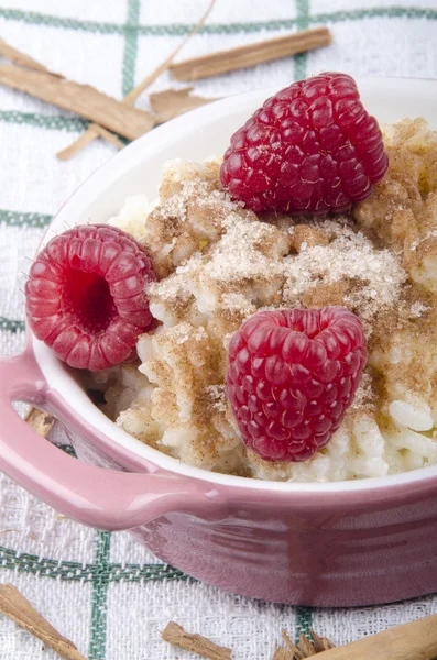 Rice pudding with cinnamon and sugar — Stock Photo, Image