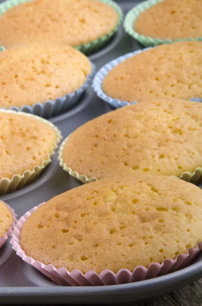 Baked vanilla cupcake baking tin — Stock Photo, Image