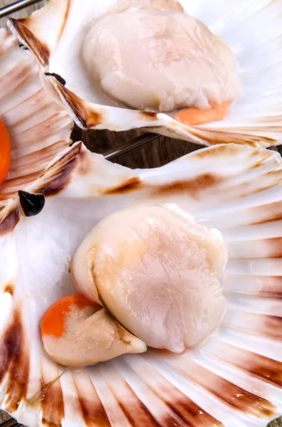 Scallops in a shell during preparation — Stock Photo, Image