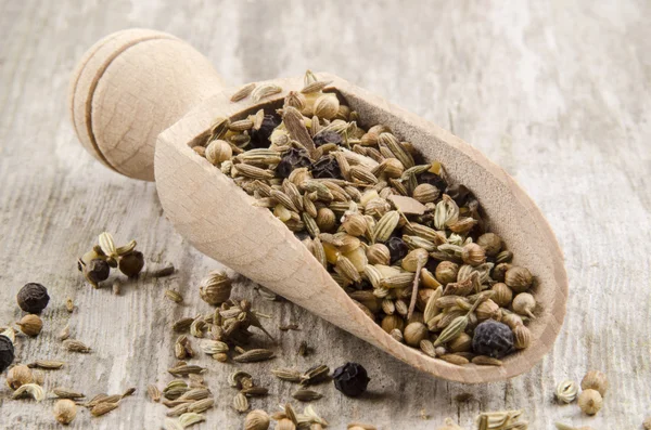 Mixed spices on a spoon — Stock Photo, Image