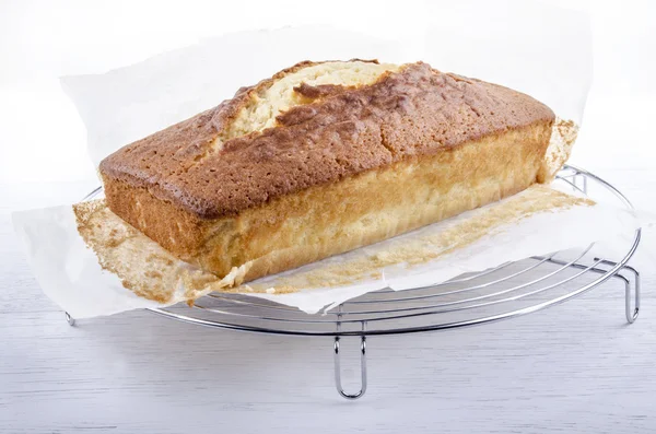 Gâteau madère fraîchement cuit sur un plateau — Photo