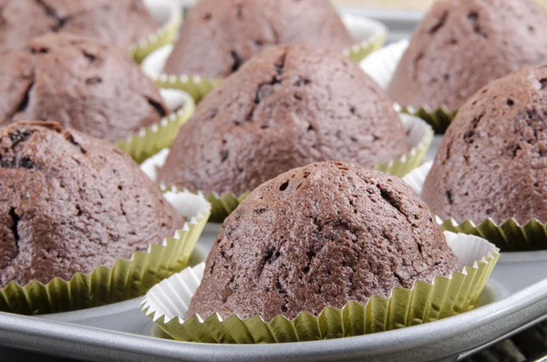 Muffin au chocolat dans un moule de cuisson — Photo