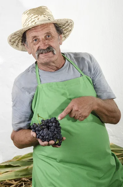 Organikus mezőgazdasági termelő, néhány piros szőlő, a kezében — Stock Fotó