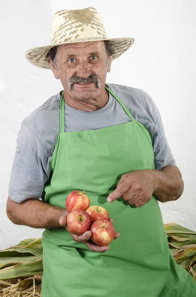 Agricultor orgânico com alguma maçã na mão — Fotografia de Stock