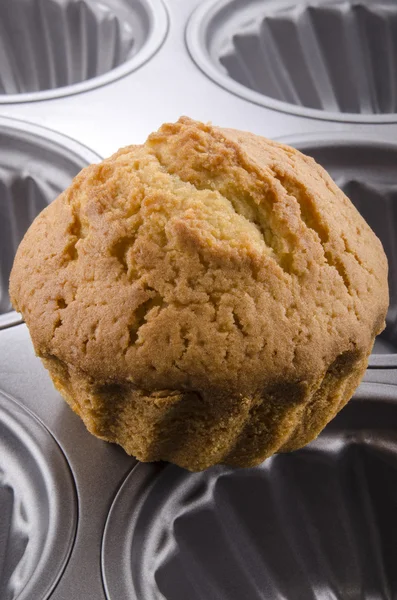 Domowe muffin na blachę — Zdjęcie stockowe