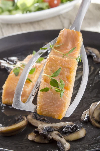 Freshly grilled salmon on a spatula — Stock Photo, Image