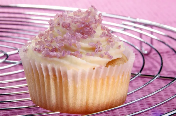 Cupcake on a cooling rack — Stock Photo, Image