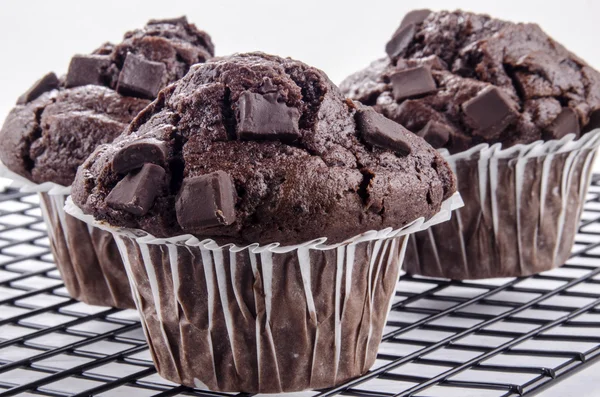 Sweet chocolate muffin on a cooking rack — Stock Photo, Image