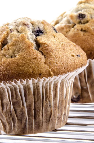 Blueberry muffin on a cooling rack — Stock Photo, Image