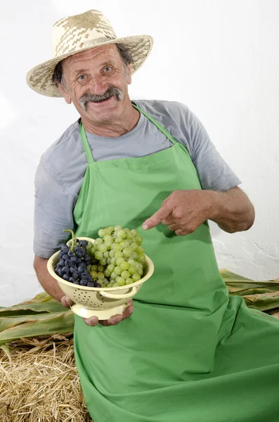 Agricultor ecológico con uvas en un tamiz —  Fotos de Stock