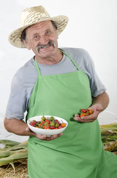 Органический фермер с вишневой паприкой — стоковое фото
