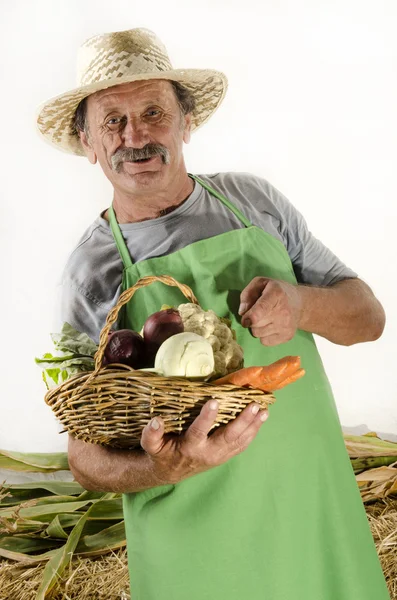 Agricultor biológico e uma cesta com legumes frescos — Fotografia de Stock