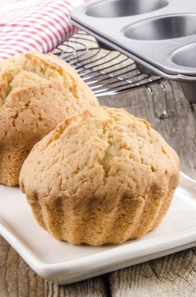 Freshly baked muffin on a plate — Stock Photo, Image