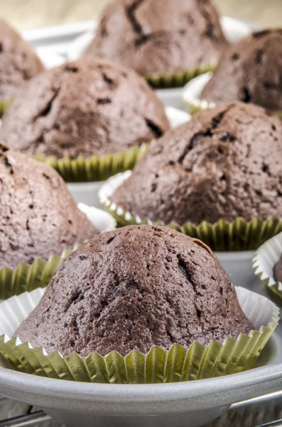 Un poco de cupcake de chocolate recién horneado — Foto de Stock