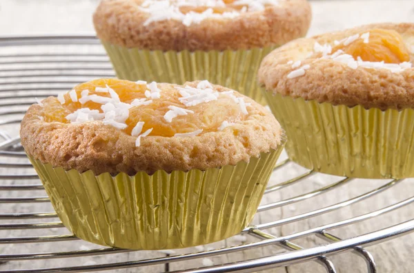 Cupcake with dried organic apricots — Stock Photo, Image