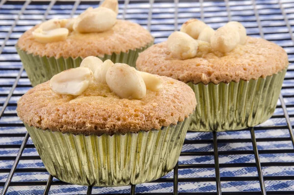 Cupcake with salted peanut in a gold colored case — Stock Photo, Image