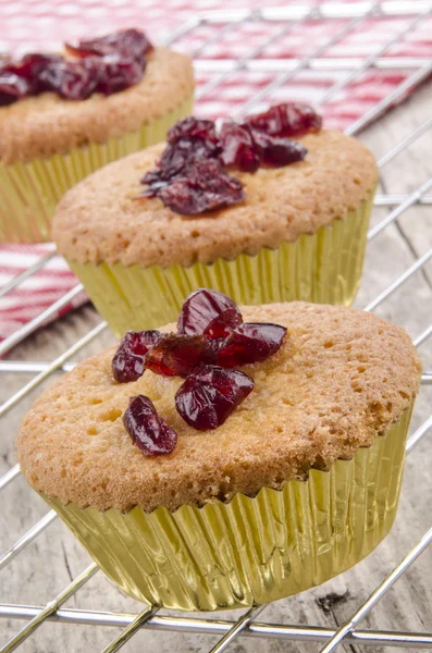Cupcake with cranberries in a gold colored case — Stock Photo, Image