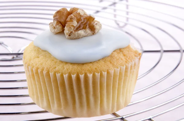 Cupcake with white icing and walnut — Stock Photo, Image