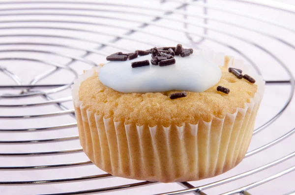 Cupcake with icing and chocolate sprinkle — Stock Photo, Image