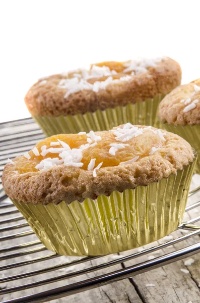 Cupcake with apricot and grated coconut — Stock Photo, Image