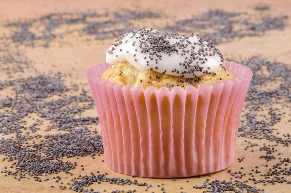 Cupcake with poppy seed — Stock Photo, Image