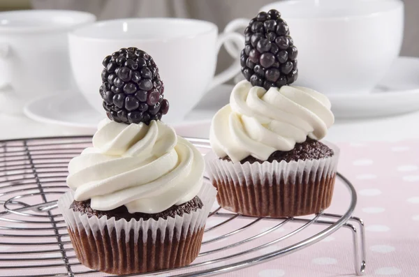Chocolate cupcake with blackberry — Stock Photo, Image