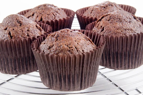 Schokoladen-Cupcake auf einem Kühlregal — Stockfoto