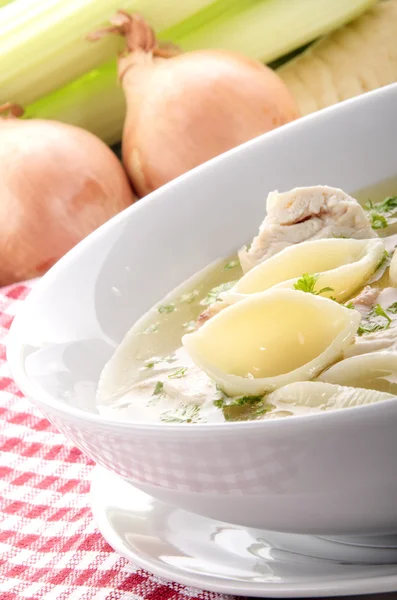 Sup ayam dengan mie buatan rumah — Stok Foto