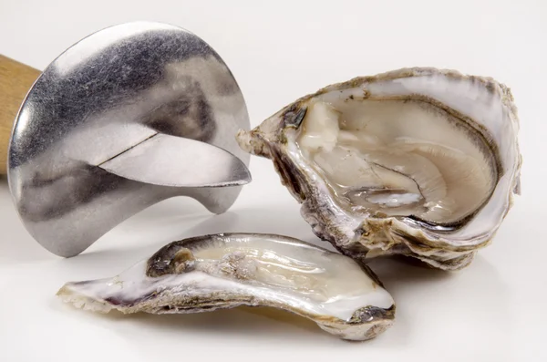 Open oyster and oyster knife — Stock Photo, Image