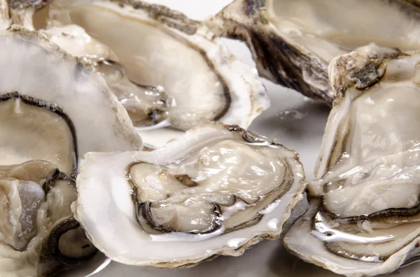 Oysters from the west coast of Ireland — Stock Photo, Image