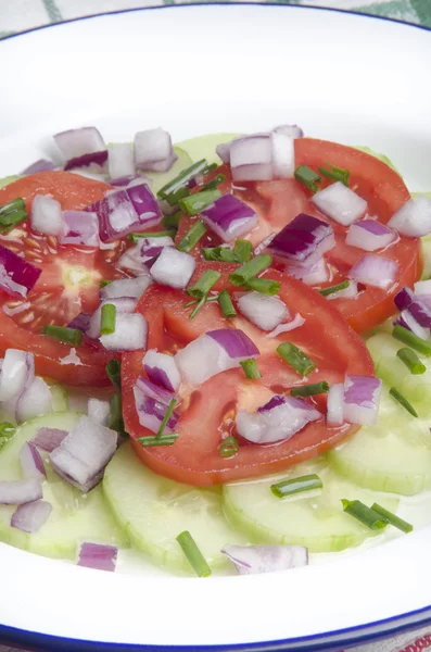 Gurka och tomat sallad med olivolja — Stockfoto