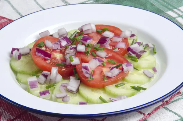 Zeytinyağı ile salatalık ve domates salatası — Stok fotoğraf