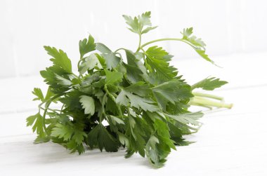 chervil on a bright background clipart