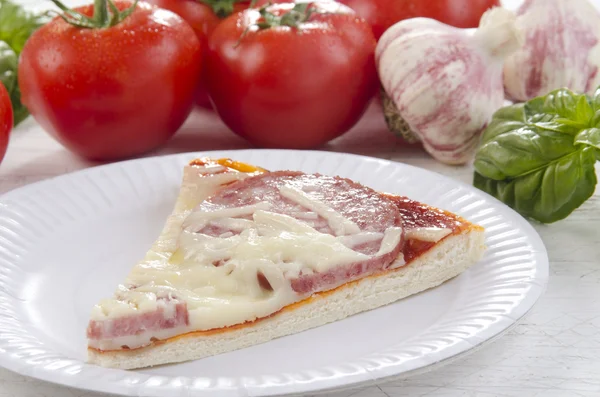 Italská pizza se salámem a sýrem — Stock fotografie