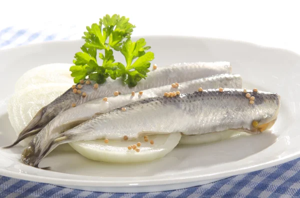 Sour herring with parsley — Stock Photo, Image