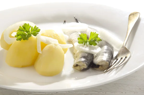 Boiled potato with sour herring — Stock Photo, Image