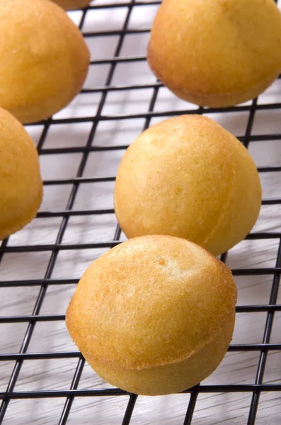 Freshly baked cake pop — Stock Photo, Image