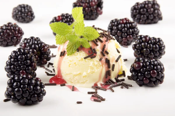 Vanilla ice cream with blueberry — Stock Photo, Image