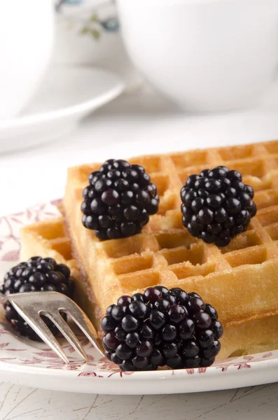 Amoras silvestres e waffle caseiro — Fotografia de Stock