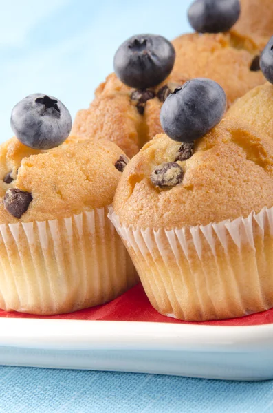 Home made mini muffin with blueberries — Stock Photo, Image