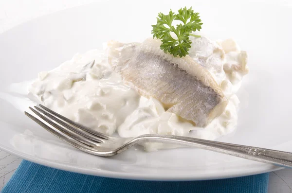 Sour herring in a yoghurt sauce — Stock Photo, Image