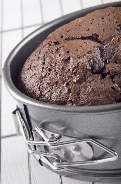 Baked chocolate cake in a baking tin — Stock Photo, Image