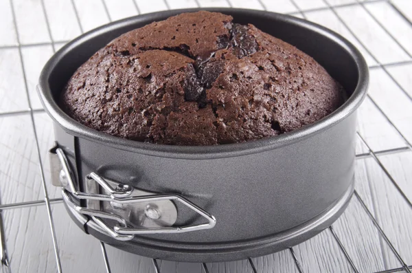 Pastel de chocolate horneado en una lata para hornear — Foto de Stock