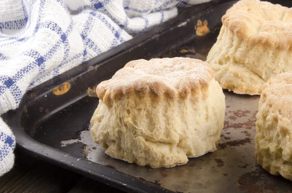 Versgebakken scone op een bakplaat — Stockfoto