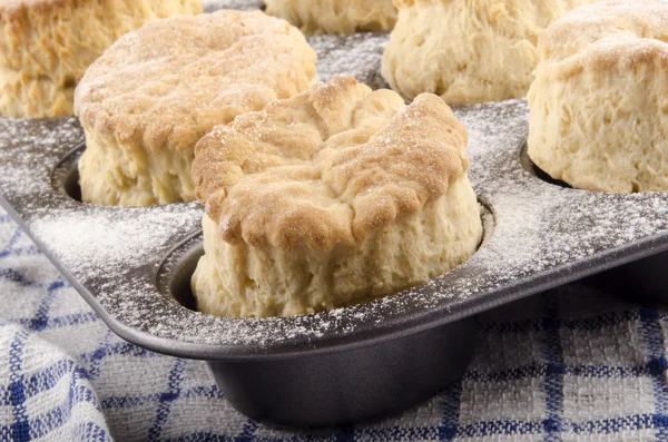 Freshly baked scone in a baking tin — Stock Photo, Image