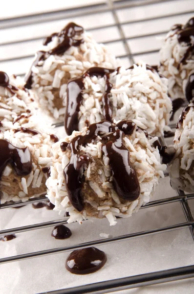 Chocolate praline with grated coconut — Stock Photo, Image