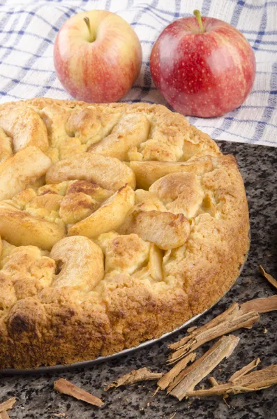 Ciasto świeżo pieczone jabłko, cynamon — Zdjęcie stockowe