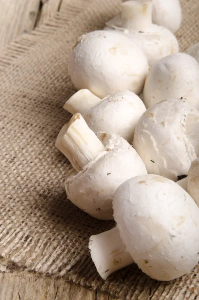 Funghi sporchi prima di pulirsi su iuta — Foto Stock